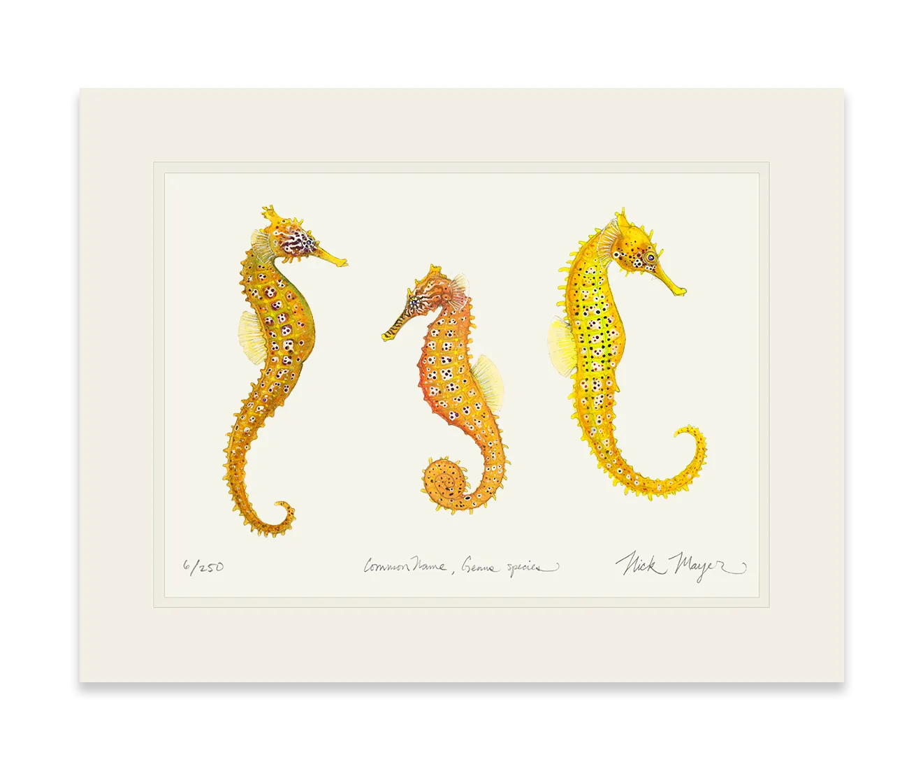 Giant Seahorse Trio Print