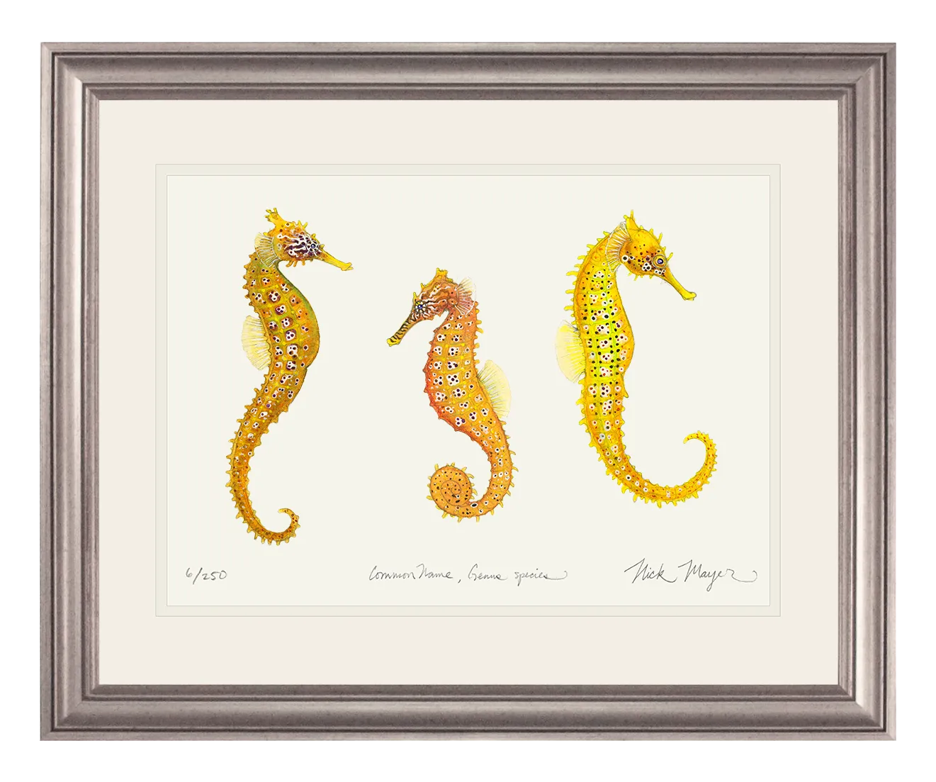 Giant Seahorse Trio Print