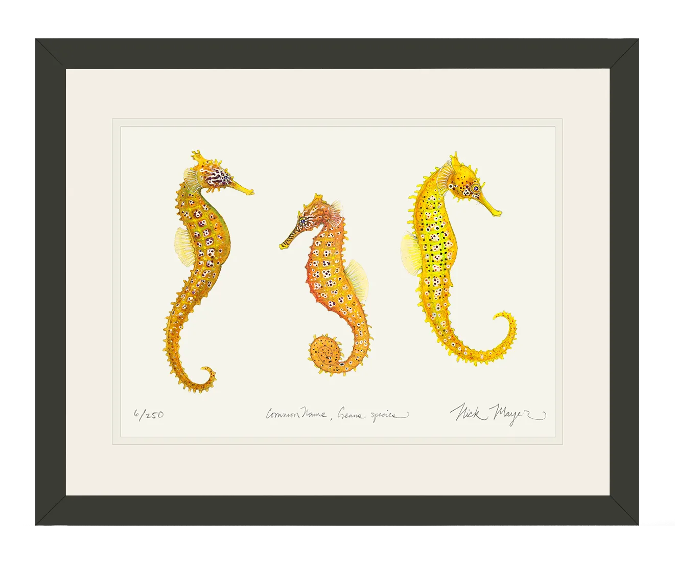 Giant Seahorse Trio Print