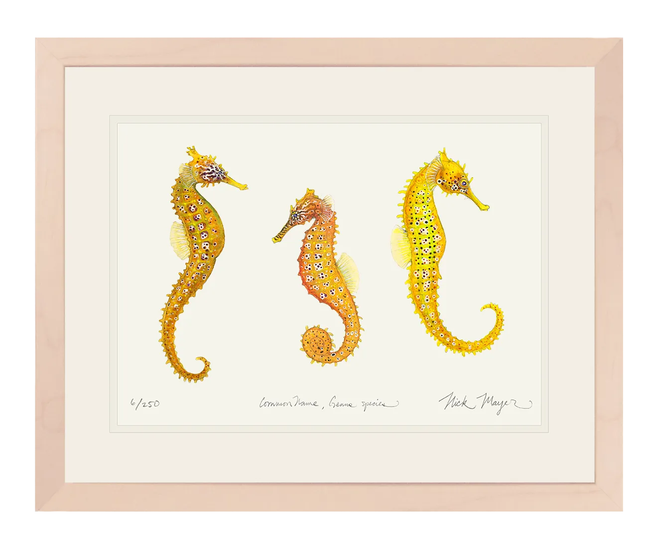 Giant Seahorse Trio Print